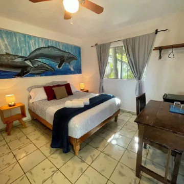 Hotel Posada Señor Mañana