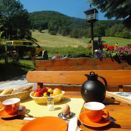 Wanderhotel Sonnebergbaude Отели в г. Хайневальде