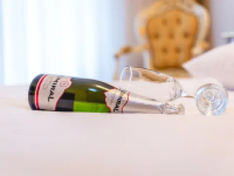 Casino & Hotel Admiral Skofije Hotels in Koper