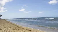 Chefs Delight - de playa