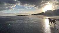Sea Vista Motel