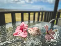 Maunga Roa Eco Lodge - Pet-friendly