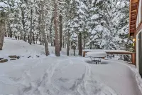Tahoe Donner Mountain Cabin Surrounded by Forest! - Beach