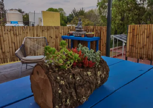 Departamentos Mi Querido Coyoacán