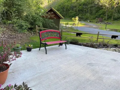 Cozy bear enjoy the peaceful quite and wildlife. Hotels near Ben Morton Overlook