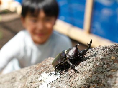 その他 火の谷温泉　美杉リゾート　ホテルＡＮＮＥＸの写真