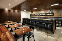 Graduate by Hilton Tempe - bar