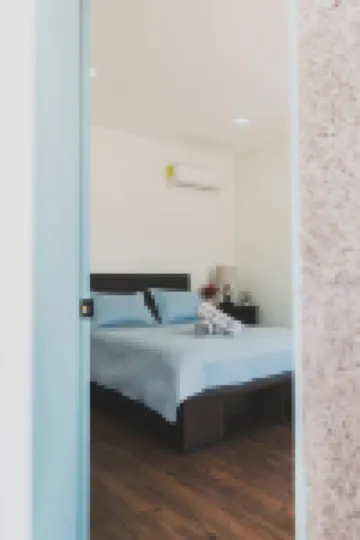 La Vid Urbana - Night Sky