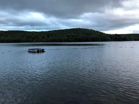 Berkshires' best! Tanglewood, Jacob's Pillow and 400 feet from a pristine lake