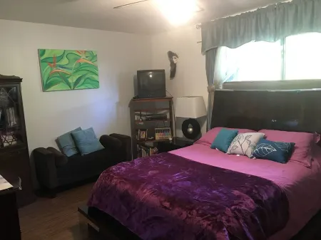 Colorful Warm Weather Jewel House 10,000 sq ft lot. Отели рядом с достопримечательностью «Парк Спирит»