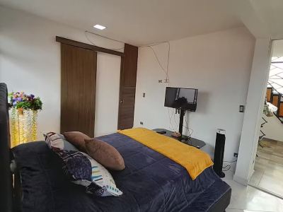 Duplex with Private Terrace and City View (5th Floor)
