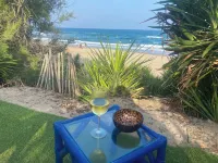 Atypical, set on the beach with direct access, swimming pool, barbecue, pets allowed