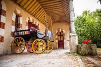 Gîte des Châteaux de la Loire, near Lamotte-Beuvron. Horses welcome! Hotels in Cour-Cheverny