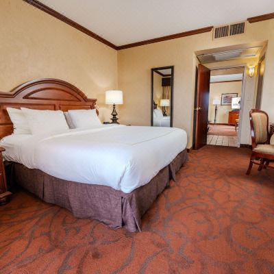 Lakefront King, Balcony, Lake View Chateau on The Lake Resort Spa and Convention Center Promo Code