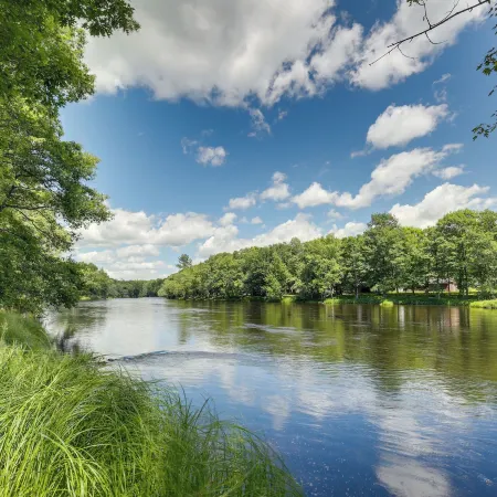 Cozy Cabin on 10 Acres, Walk to Chippewa River!