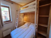 Alpine Comfort Ski Slopes Hotels in Venosc