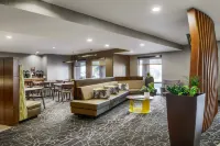 SpringHill Suites Tempe at Arizona Mills Mall - 3-Star