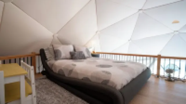 Falling Stars at Bull Shoals Lake