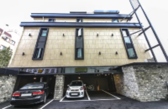 Changwon Jinhae Olive