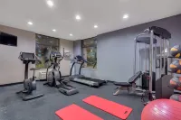 SureStay Plus Hotel by Best Western Coralville Iowa City - Gym
