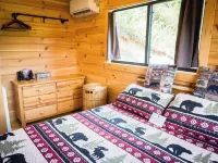 The Overlook Cabin near Grayson Highlands - Arcade & Theater Hotels in Wilson Creek