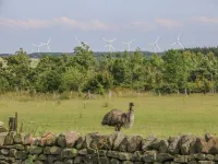 Meagill farmhouse-hot tub country Hotels in Otley