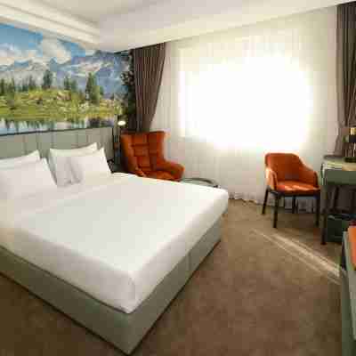 Hotel Aleksandar conference & spa Rooms