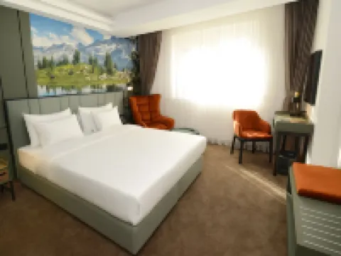 Hotel Aleksandar conference & spa Hotels in Zabljak