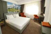 Hotel Aleksandar conference & spa Hotels in Žabljak