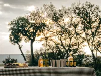 Summerplace Game Reserve - servizio colazione