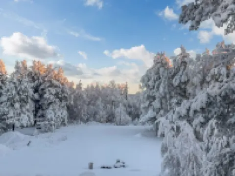 The Cozy Loggers Suite