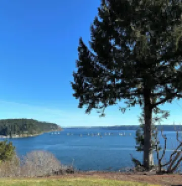 GIG Harbor- Secluded Apartment with Million Dollar View.  10-Minute Walk to Town