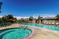 J Patrick Inn - Pools