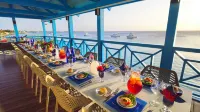 Divi Flamingo Beach Resort