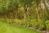 Host & Stay - The Evergreen Retreat RWM22