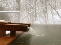 「蔵王之森」創建的美與健康的温泉旅館 宇和森林俱樂部 - 溫泉