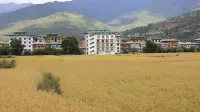 Golden Paddy Field - 2 Sao