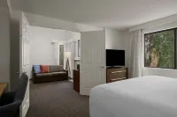 Residence Inn Boise Downtown/University - Swimmingpools