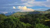 Lavendar 316 - Mountain view