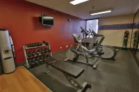 Hampton Inn Chicago/Naperville Near Niu Conference Center - salle de sport