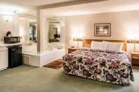 Econo Lodge Inn & Suites - Pools