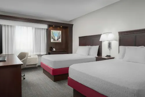 Hampton Inn & Suites Omaha-Downtown - piscine