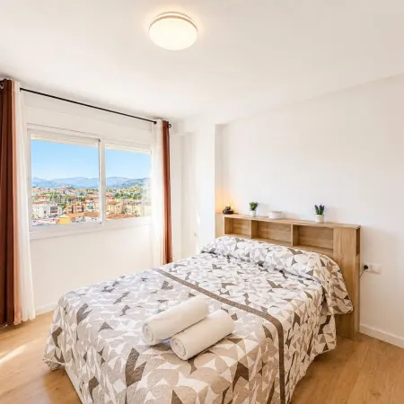 Terrasol J Piter 9 Planta