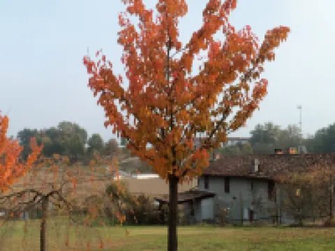 Casa Dei Ciliegi I - Old Farmhouse in the Basso Monferrato Hotels in Castell'Alfero