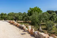Ancient Farm Among the Olive Trees with Pool in the Itria Valley