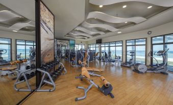 a well - equipped gym with various exercise equipment , such as treadmills , weight machines , and stationary bikes at Anantara Desert Islands Resort & Spa