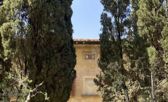 A Path of Relaxation and History Between Vineyards and Olive Trees