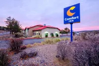 Comfort Inn Near Gila National Forest Hotels in Silver City