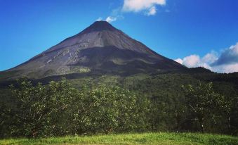 Arenal Oasis