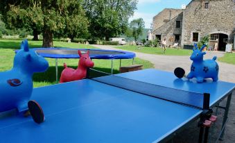 Why Not Renting a Whole Castle for Your holiday ?